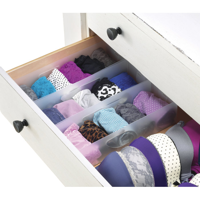 Rebrilliant Plastic Closet Drawer Organizer & Reviews Wayfair